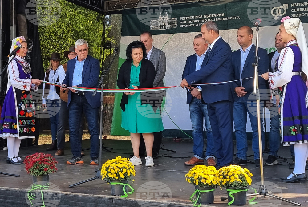 Село Мечкарево - Национално животновъдно изложение