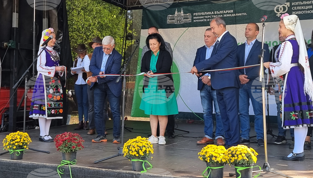 Село Мечкарево - Национално животновъдно изложение