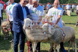 Село Мечкарево - Национално животновъдно изложение