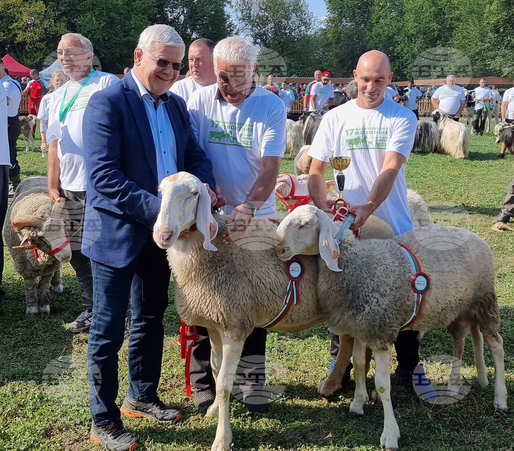 Село Мечкарево - Национално животновъдно изложение