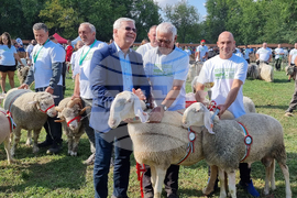 Село Мечкарево - Национално животновъдно изложение