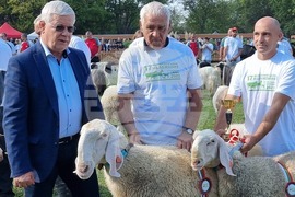 Село Мечкарево - Национално животновъдно изложение