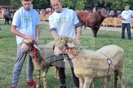 Село Мечкарево - Национално животновъдно изложение