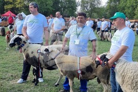 Село Мечкарево - Национално животновъдно изложение