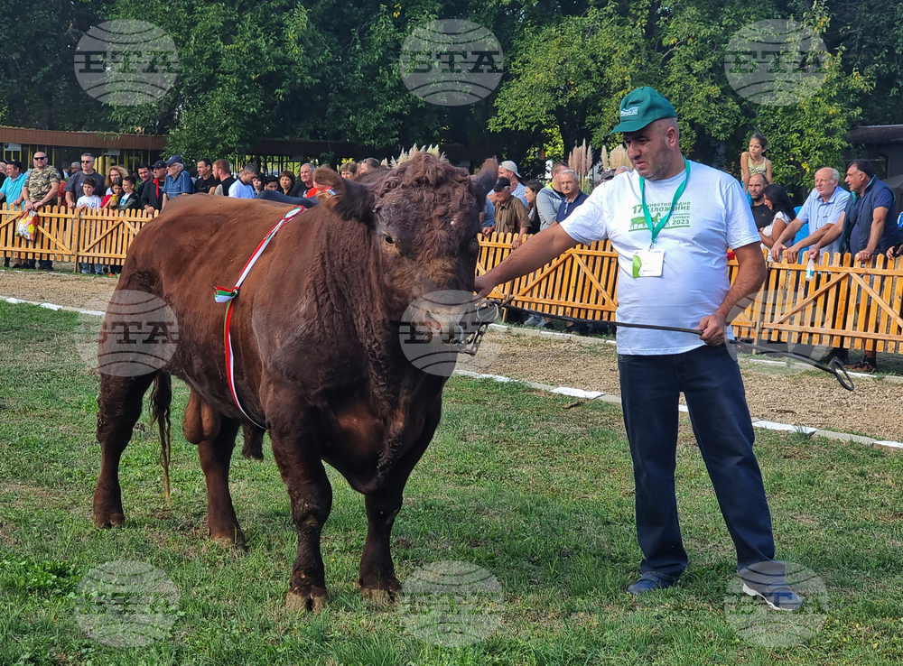 Село Мечкарево - Национално животновъдно изложение