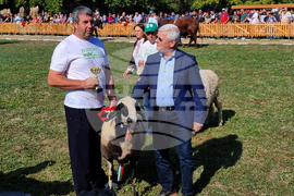 Село Мечкарево - Национално животновъдно изложение