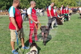 Село Мечкарево - Национално животновъдно изложение