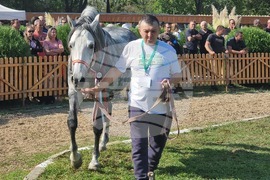 Село Мечкарево - Национално животновъдно изложение
