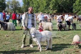 Село Мечкарево - Национално животновъдно изложение
