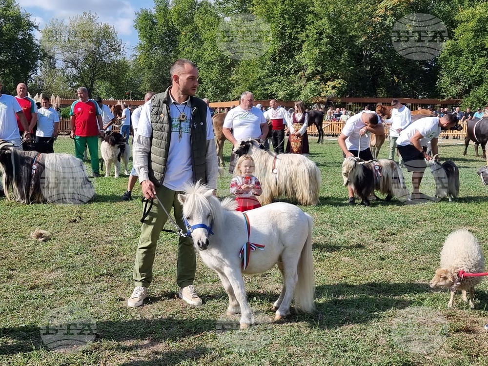 Село Мечкарево - Национално животновъдно изложение