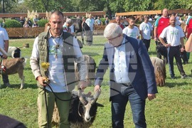 Село Мечкарево - Национално животновъдно изложение