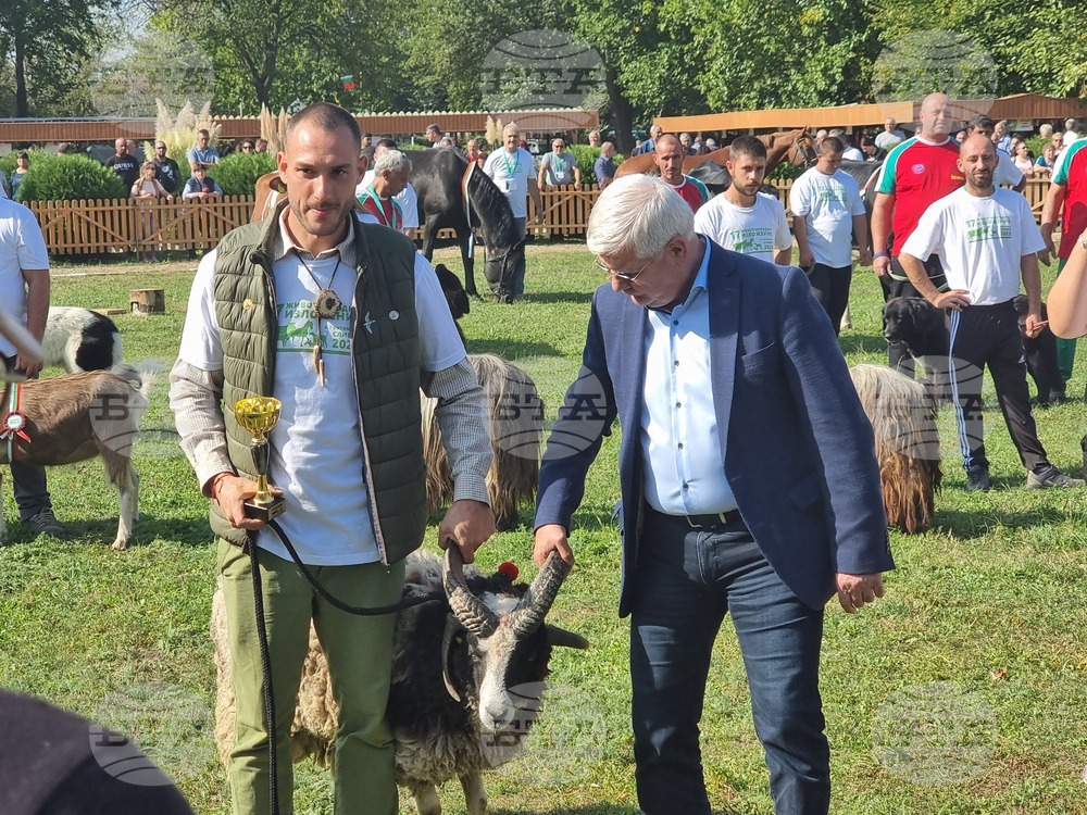 Село Мечкарево - Национално животновъдно изложение