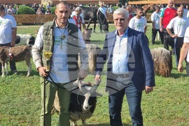 Село Мечкарево - Национално животновъдно изложение