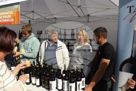 Молдова - Кишинев - Национален ден на виното - фестивал