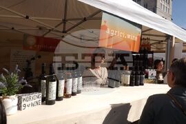 Молдова - Кишинев - Национален ден на виното - фестивал