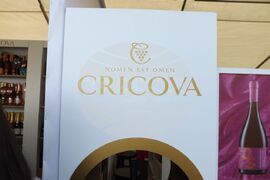 Молдова - Кишинев - Национален ден на виното - фестивал