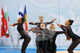 Световна купа по естетическа групова гимнастика