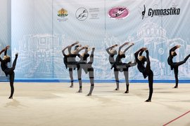 Световна купа по естетическа групова гимнастика