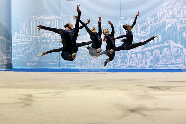 Световна купа по естетическа групова гимнастика