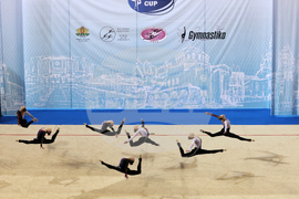 Световна купа по естетическа групова гимнастика