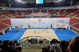 Световна купа по естетическа групова гимнастика