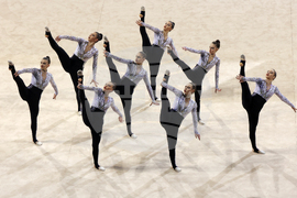 Световна купа по естетическа групова гимнастика