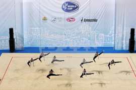 Световна купа по естетическа групова гимнастика