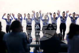 Световна купа по естетическа групова гимнастика