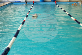Троян - плуване - безплатно обучение