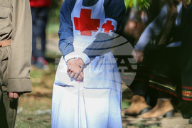 Благоевград - годишнина - военно-историческа възстановка