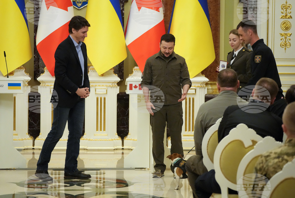 Президентът Зеленски награди най-доброто куче сапьор на Украйна