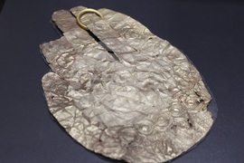 НАИМ - изложба - представяне