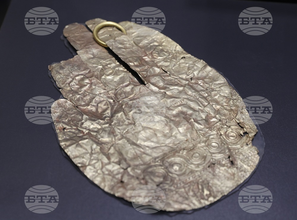 НАИМ - изложба - представяне