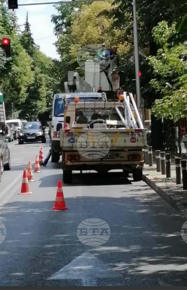 Община Стара Загора започна дейности по повдигане короните на дърветата