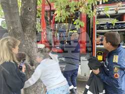 Снимка: Община Сливен