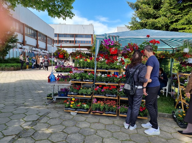Керамика, бижута, мед, пчелни продукти и био козметика ще бъдат представени на Фермерския и занаятчийския пазар в Търговище