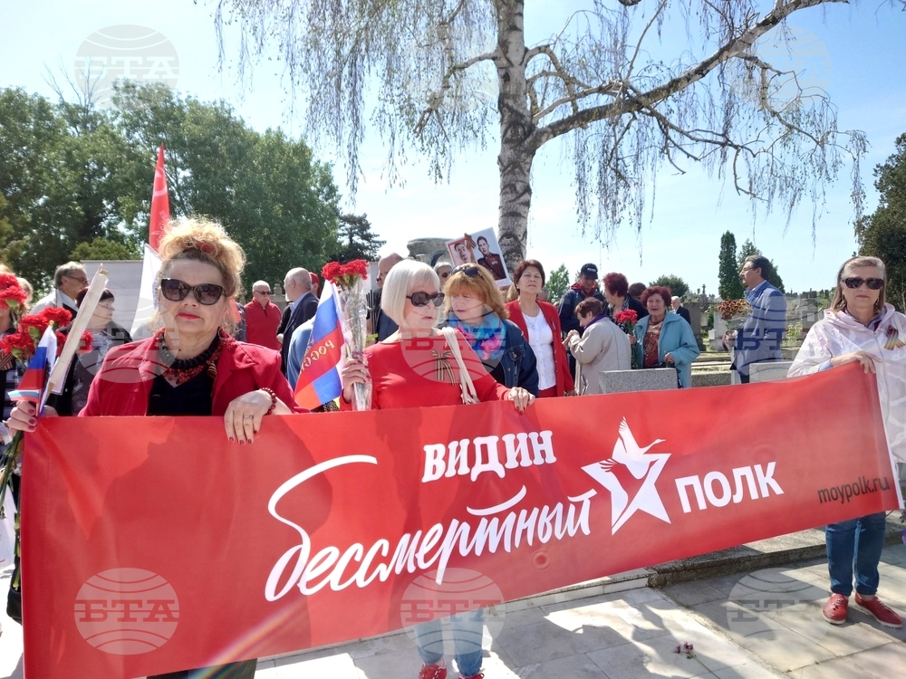 Видин - Ден на Европа