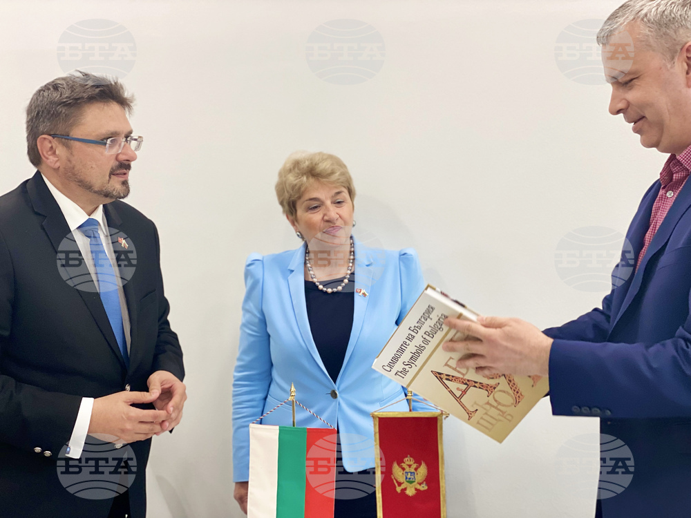 Черна гора - БТА - МИНА - договор