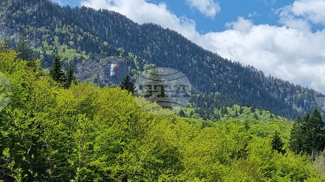 Сдружение "Горовладелец" от Чепеларе е част от европейска мрежа на частни собственици на гори 