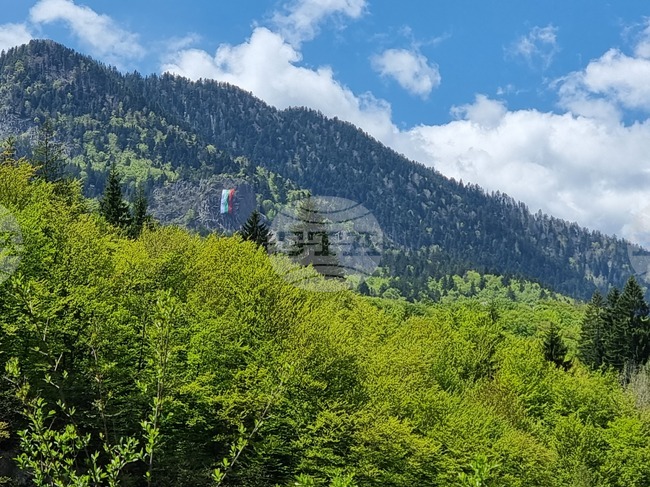 Сдружение "Горовладелец" от Чепеларе е част от европейска мрежа на частни собственици на гори 