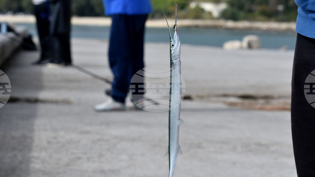 Държавен фонд "Земеделие" изплати близо 2,2 млн. лева по Програмата за морско дело, рибарство и аквакултури 2021-2027