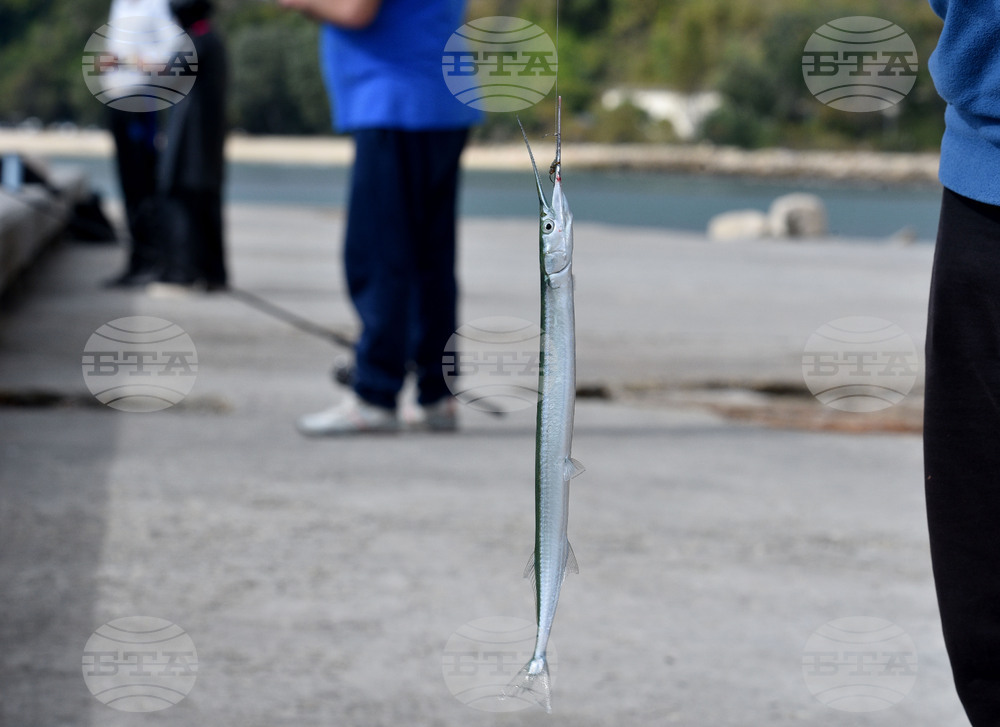 Държавен фонд "Земеделие" изплати близо 2,2 млн. лева по Програмата за морско дело, рибарство и аквакултури 2021-2027