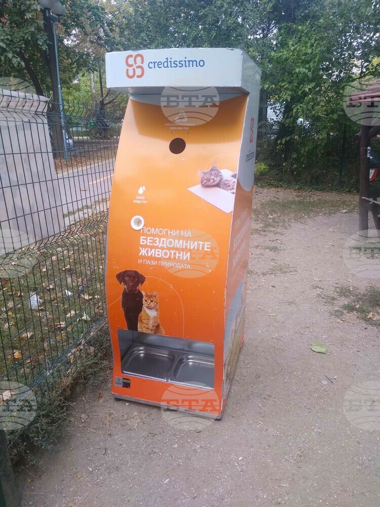 В Пловдив поставиха автомати за хранене на бездомни животни срещу рециклиране