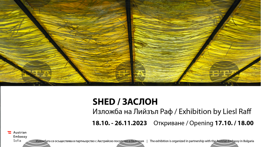 Toplocentrala Art Centre Hosts Exhibition by Liesl Raff