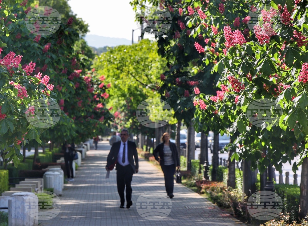 Пролет - кестени