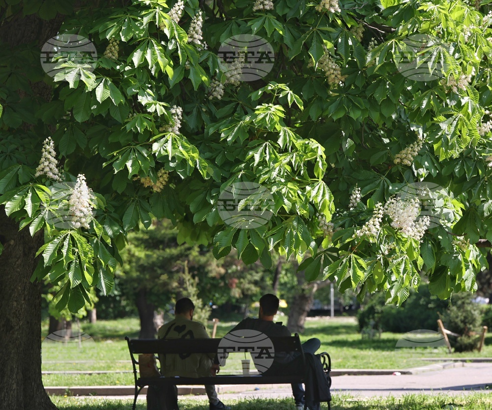 Пролет - кестени