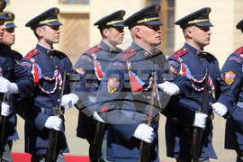 Чехия - Румен Радев - Милош Земан