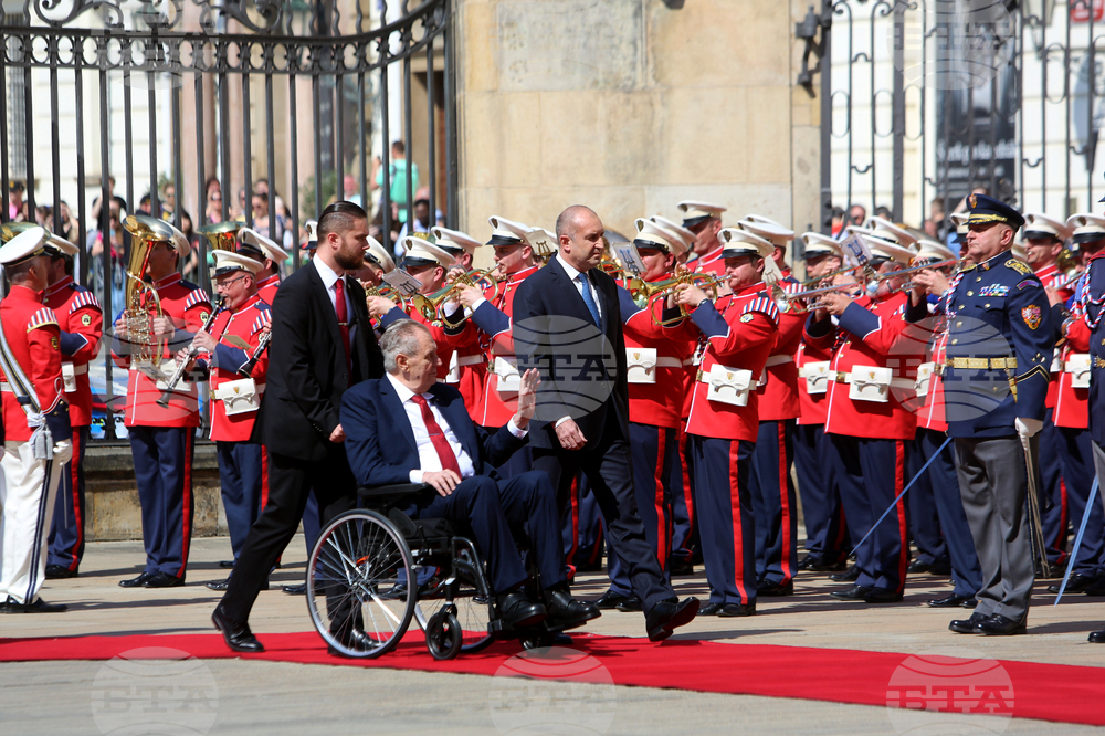Чехия - Румен Радев - Милош Земан
