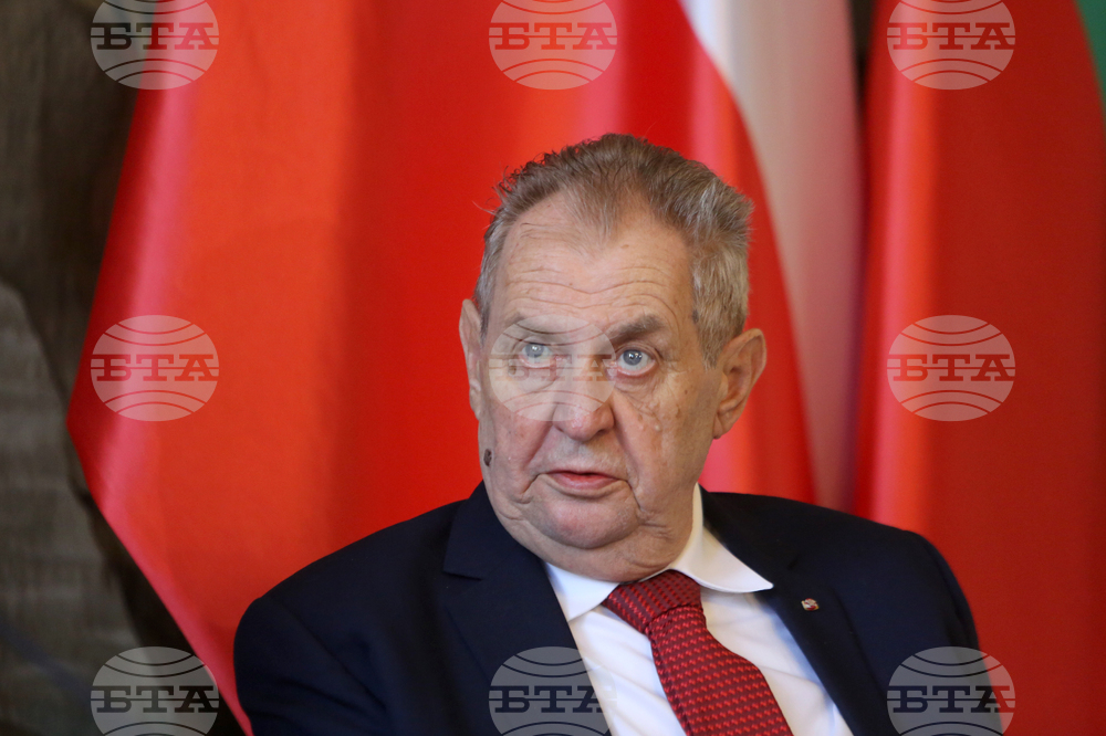 Чехия - Румен Радев - Милош Земан