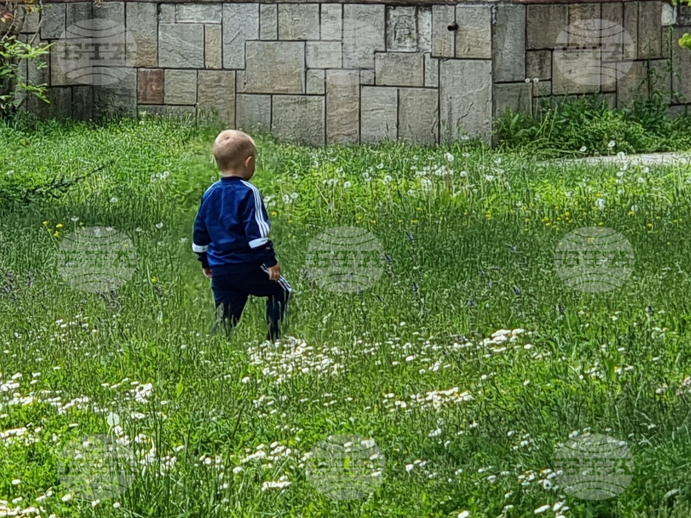 В Кърджали започва третиране на тревните площи срещу кърлежи